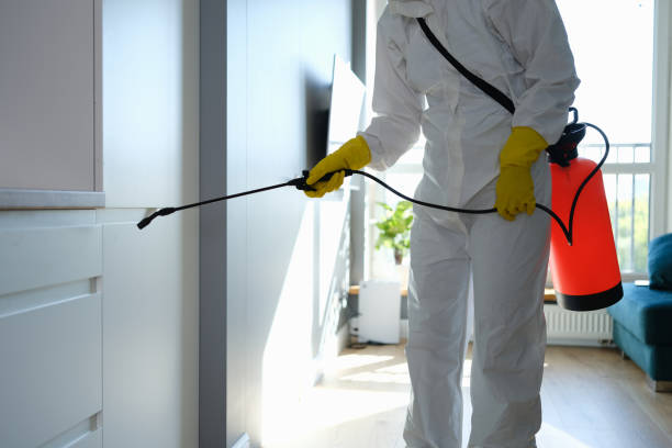 Best Mold Cleaning Services  in Jamestown, ND
