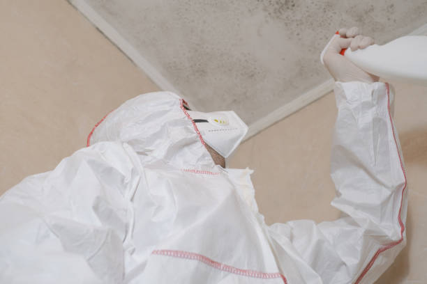 Water Damage Restoration in Jamestown, ND