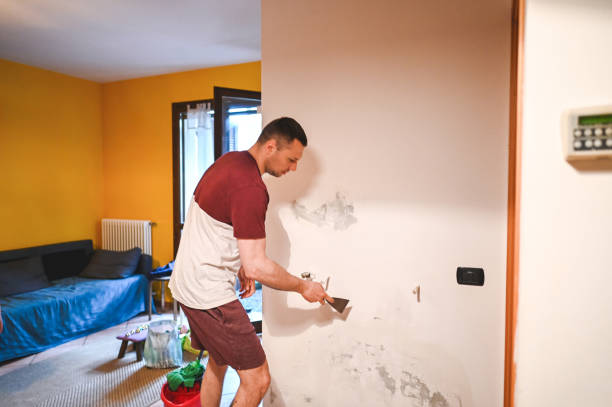 Best Black Mold Removal  in Jamestown, ND